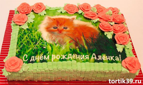 Участница шоу Холостяк 3: Анюта, козырь Муми-Дол 1 сезон смотреть подряд все серии онлайн