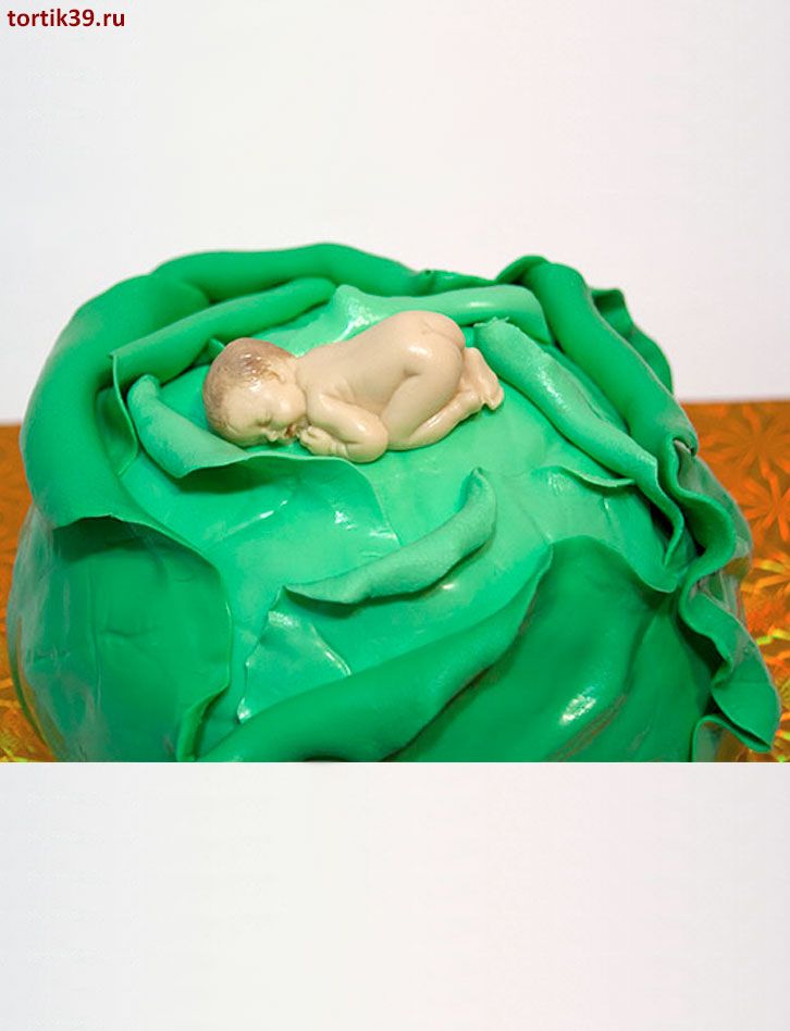 Торт «Младенец в Капусте»