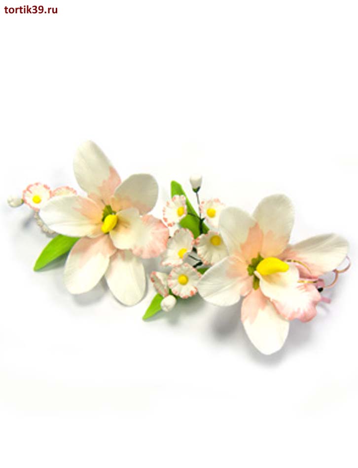 Букет Орхидея - готовое украшение из сахарной массы